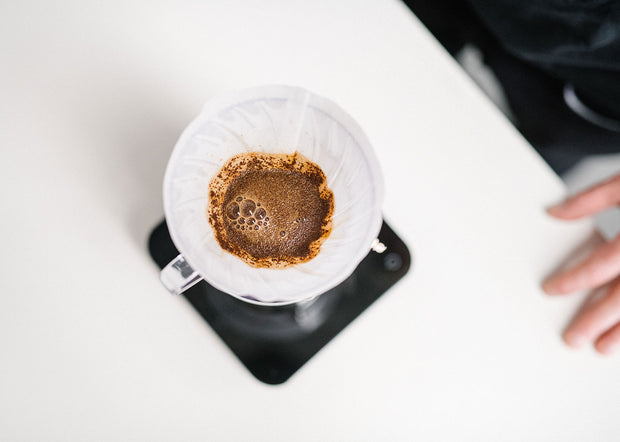 Hario V60 Brew Guide