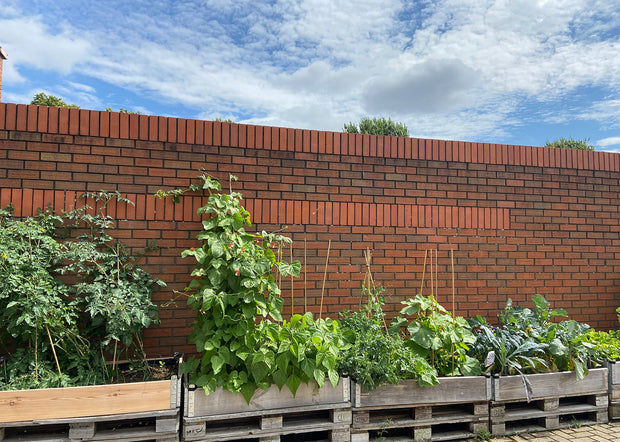 Sustainability at The Blending Room